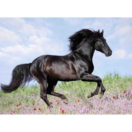 Puzzle cal 200 piese
